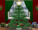 Christmas_Tree_2010_10_x_8.jpg