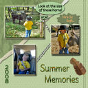Summer_Memories_LO_2_copy.jpg