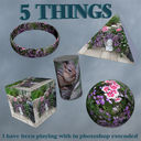 five_things2C5_done.jpg
